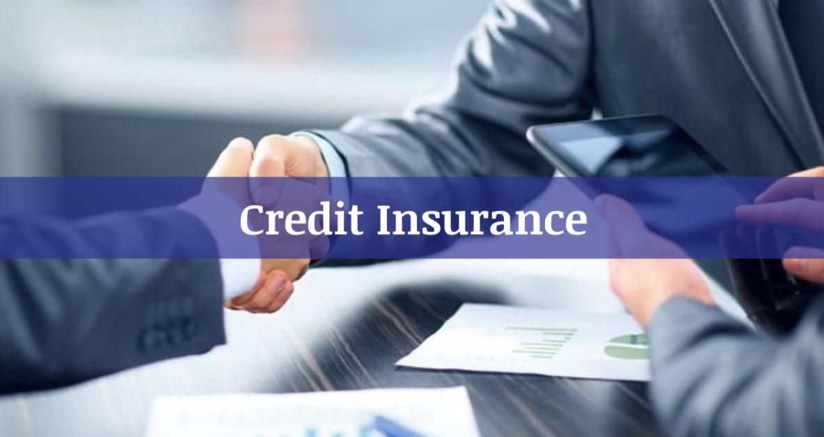credit insurance