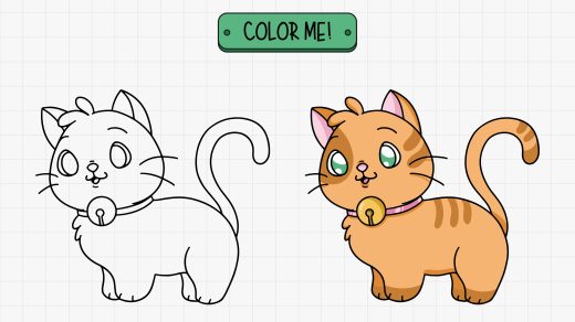 cat paint by numbers