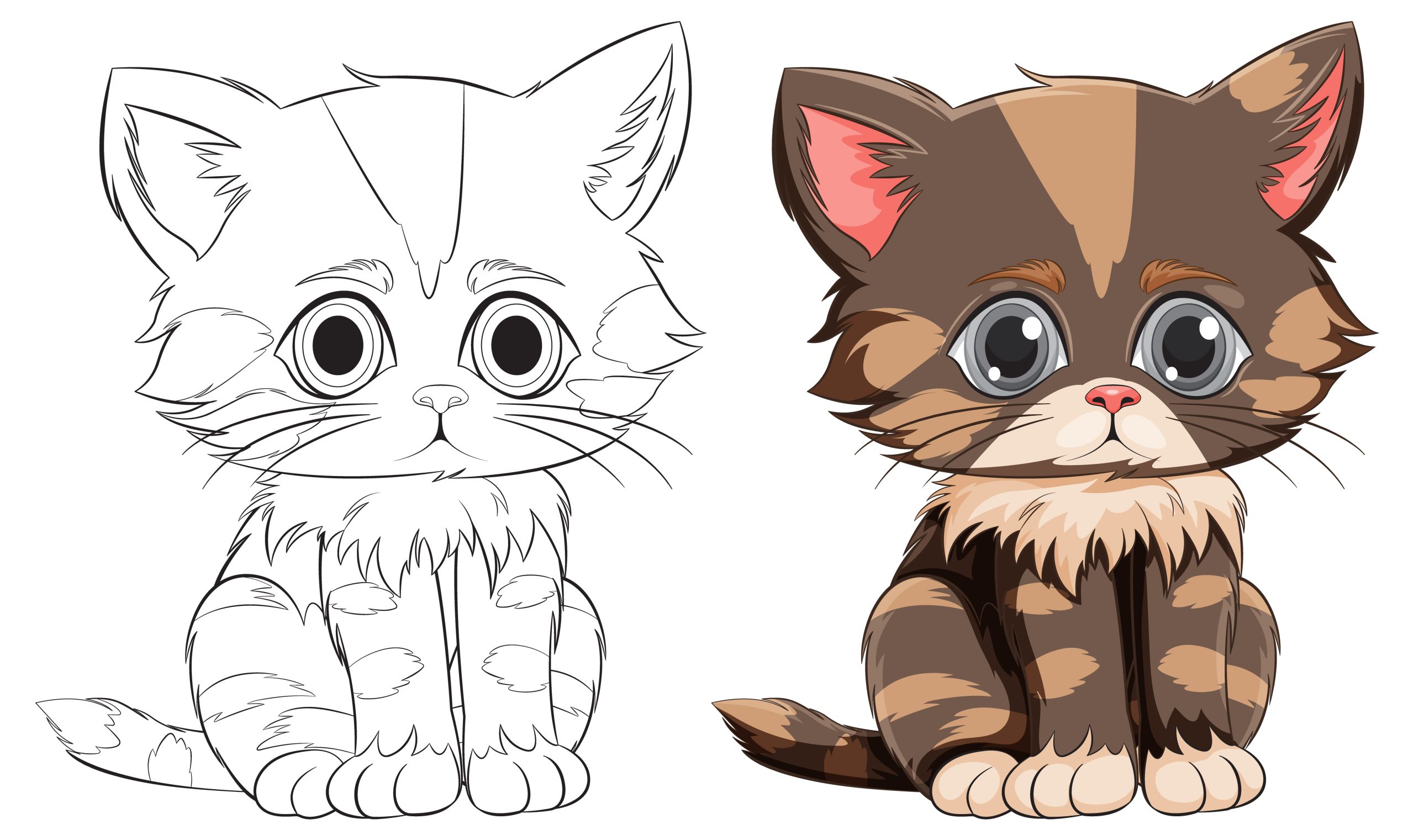 cat paint by numbers